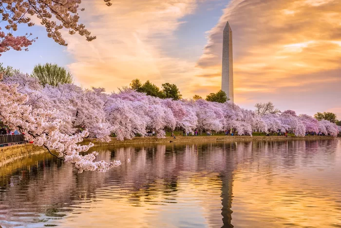 Ripe Welcomes Destination DC: Elevating the Capital Travel Experience