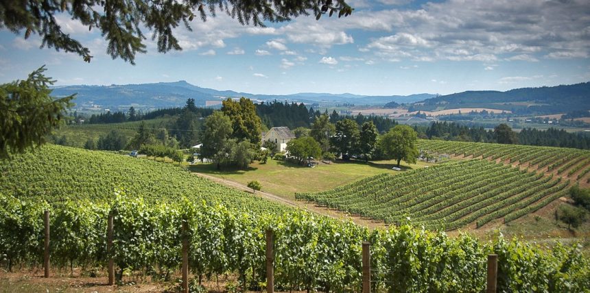 Harvesting a Masterpiece: Explore Tualatin Valley Reclaims the Booking Journey with Ripe ITA