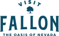 Visit Fallon Logo
